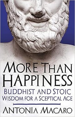 More Than Happiness: Buddhist and Stoic Wisdom for a Sceptical Age